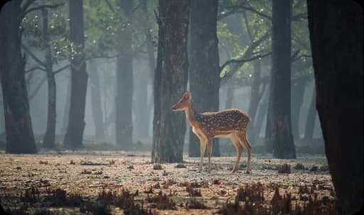 10 Essential Tips for First-Time Travelers to Bangladesh