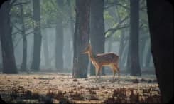 10 Essential Tips for First-Time Travelers to Bangladesh